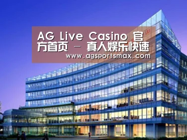 展示五