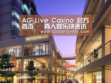 展示一(图1)